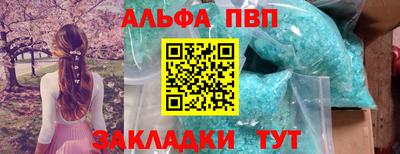 a pvp Гагарин