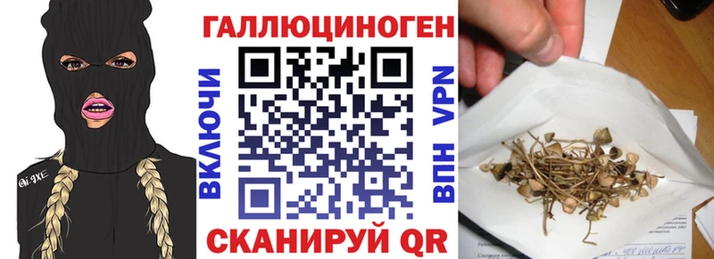 блэк спрут ссылки  Богородск  Псилоцибиновые грибы мицелий 